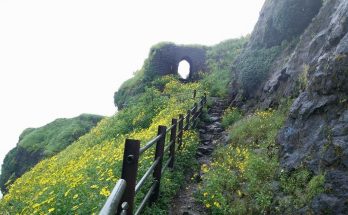 Ratangad Fort